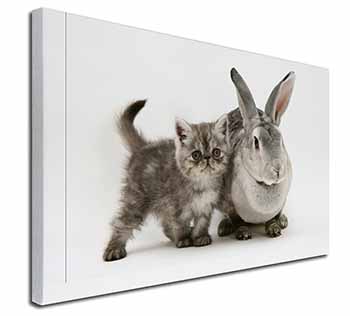 Silver Grey Cat and Rabbit Canvas X-Large 30"x20" Wall Art Print