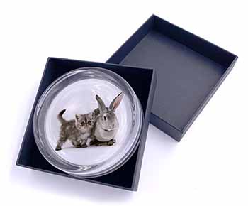 Silver Grey Cat and Rabbit Glass Paperweight in Gift Box