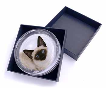 Siamese Cat Glass Paperweight in Gift Box