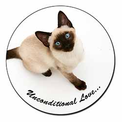 Siamese Cat 