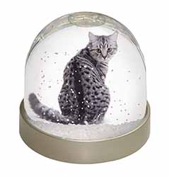 Silver Spot Tabby Cat Snow Globe Photo Waterball