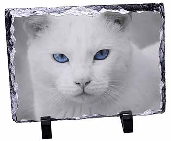 Blue Eyed White Cat, Stunning Photo Slate