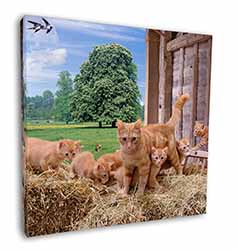 Ginger Cat and Kittens in Barn Square Canvas 12"x12" Wall Art Picture Print