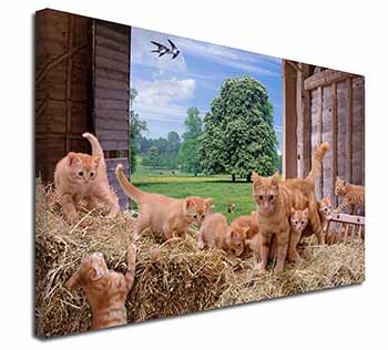 Ginger Cat and Kittens in Barn Canvas X-Large 30"x20" Wall Art Print