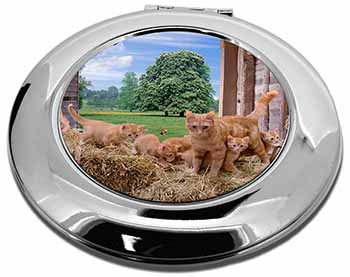 Ginger Cat and Kittens in Barn Make-Up Round Compact Mirror