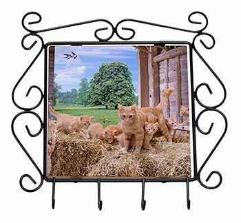 Ginger Cat and Kittens in Barn Wrought Iron Key Holder Hooks