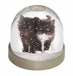 Black and White Kittens Snow Globe Photo Waterball