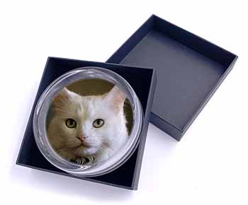 Gorgeous White Cat Glass Paperweight in Gift Box