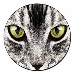 Silver Tabby Cat Face Fridge Magnet Printed Full Colour