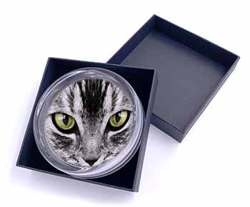 Silver Tabby Cat Face Glass Paperweight in Gift Box