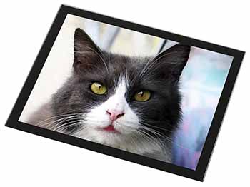 Pretty Black and White Cat Black Rim High Quality Glass Placemat