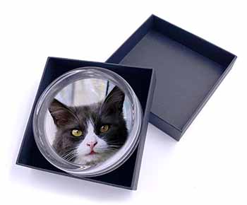 Pretty Black and White Cat Glass Paperweight in Gift Box