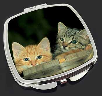 Kittens in Beer Barrel Make-Up Compact Mirror