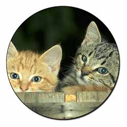 Kittens in Beer Barrel Fridge Magnet Printed Full Colour