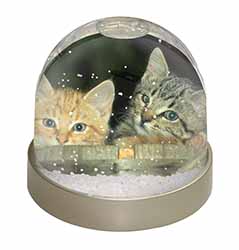 Kittens in Beer Barrel Snow Globe Photo Waterball