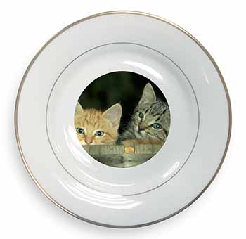 Kittens in Beer Barrel Gold Rim Plate Printed Full Colour in Gift Box