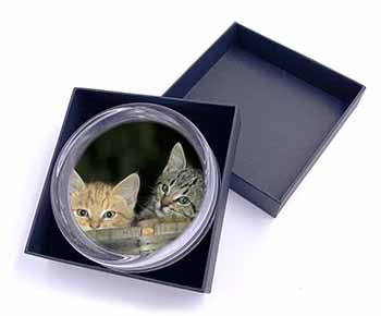 Kittens in Beer Barrel Glass Paperweight in Gift Box