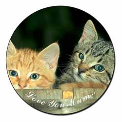 Kittens in Beer Barrel 