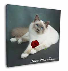 Birman Cat+Rose 