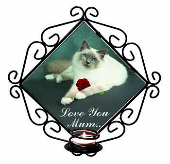 Birman Cat+Rose 