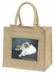 Birman Cat 