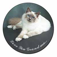 Birman Cat 