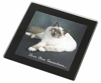 Birman Cat 