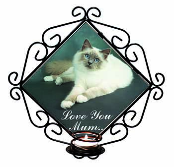 Birman Cat 