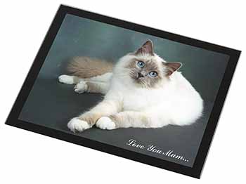 Birman Cat 