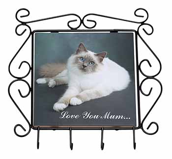 Birman Cat 