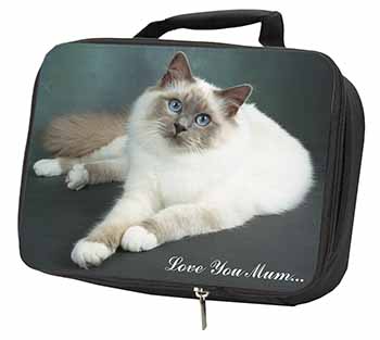 Birman Cat 