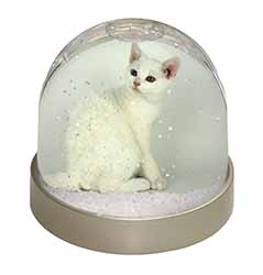 White American Wire Hair Cat Snow Globe Photo Waterball