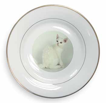 White American Wire Hair Cat Gold Rim Plate Printed Full Colour in Gift Box