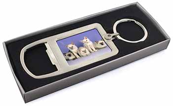 Cute Balinese Kittens Chrome Metal Bottle Opener Keyring in Box