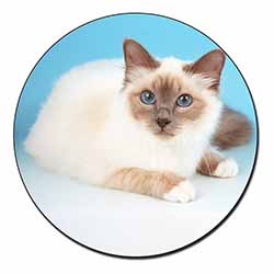 Pretty Birman Cat Fridge Magnet Printed Full Colour