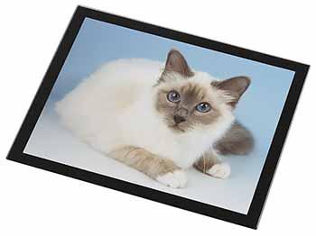 Pretty Birman Cat Black Rim High Quality Glass Placemat