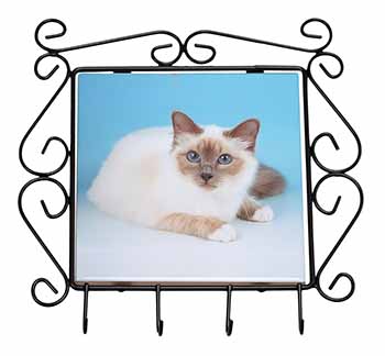 Pretty Birman Cat Wrought Iron Key Holder Hooks