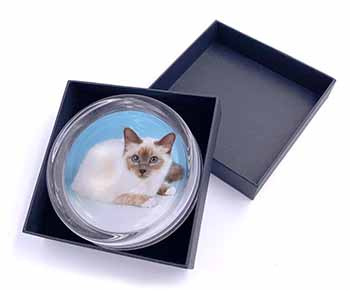 Pretty Birman Cat Glass Paperweight in Gift Box