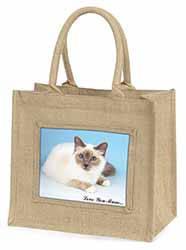 Birman Cat 