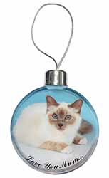 Birman Cat 