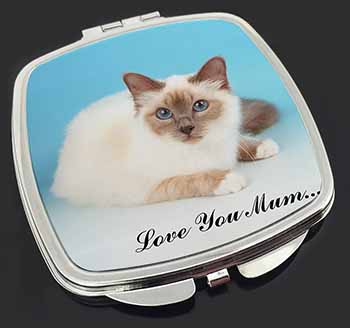 Birman Cat 