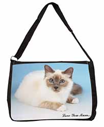 Birman Cat 