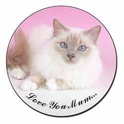 Lilac Birman Cat 