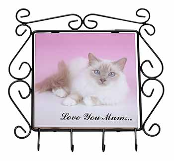 Lilac Birman Cat 