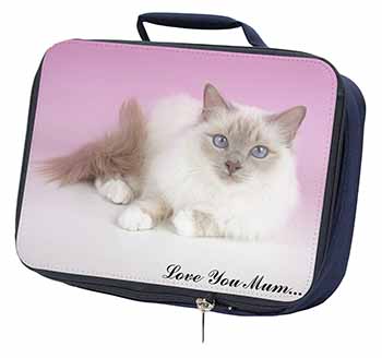 Lilac Birman Cat 