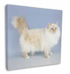 Red Birman Cat Square Canvas 12"x12" Wall Art Picture Print