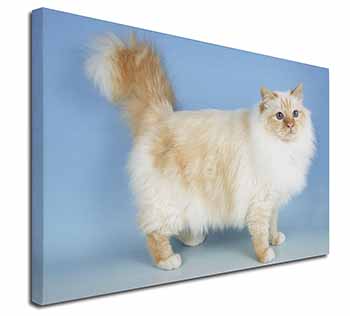 Red Birman Cat Canvas X-Large 30"x20" Wall Art Print