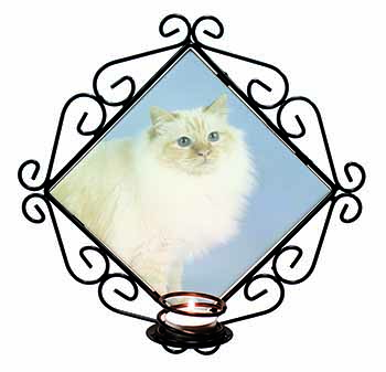 Red Birman Cat Wrought Iron Wall Art Candle Holder