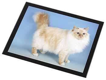 Red Birman Cat Black Rim High Quality Glass Placemat