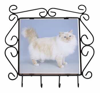 Red Birman Cat Wrought Iron Key Holder Hooks